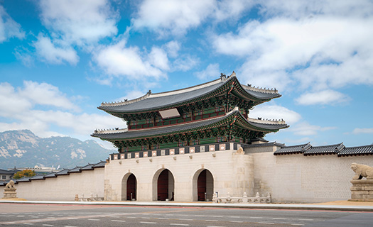 문화유산 전공